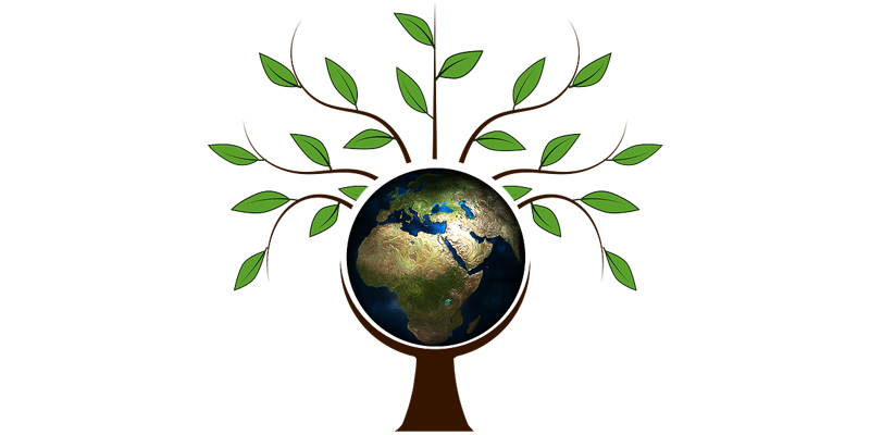 ecodiseño y biomasa